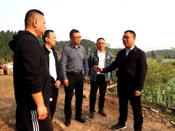 杨文彬调研生态环境保护和河长制工作